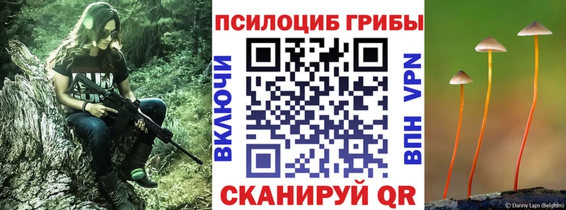 Галлюциногенные грибы мухоморы  сайты даркнета официальный сайт  Солнечногорск 
